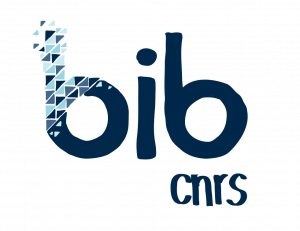 Logo BibCnrs